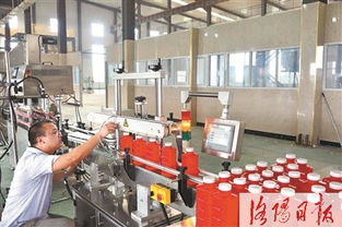破局而立 新材料技術研發填補國內空白，引領產業新篇章